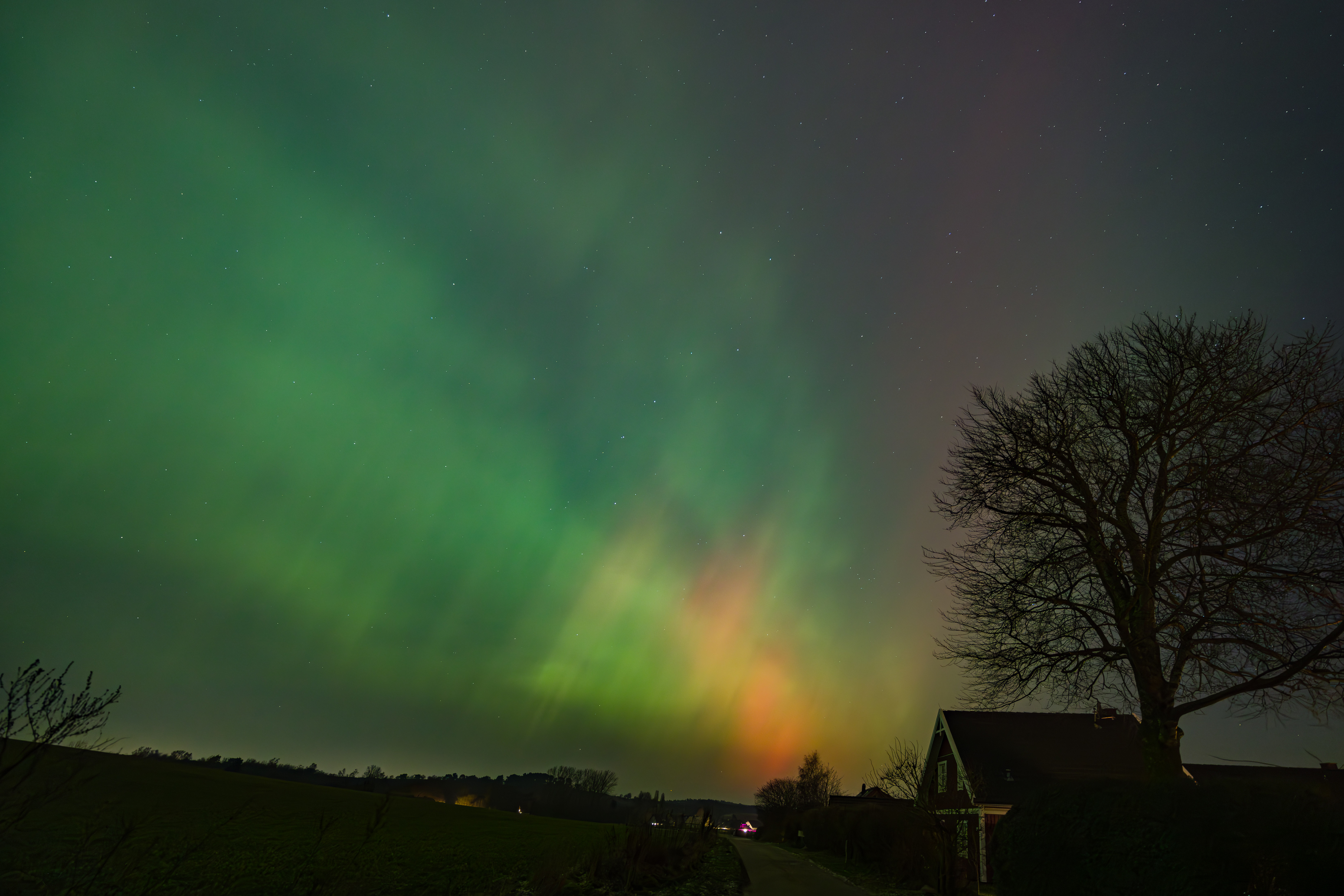 GMR52143 20260119 224401 14 mm 2.5 Sek. bei f   4,0 ISO 3200